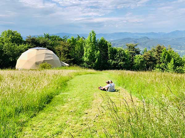 Stage alimentation et yoga en pleine nature